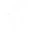 Glyph: Architects