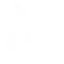 Glyph: Proteus