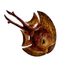 Cooked Halfmoon