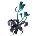 Freesia Flower