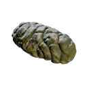 Crab Feces