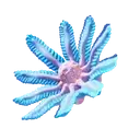 Necrolei Bud