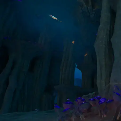 Observatory Island Cave C