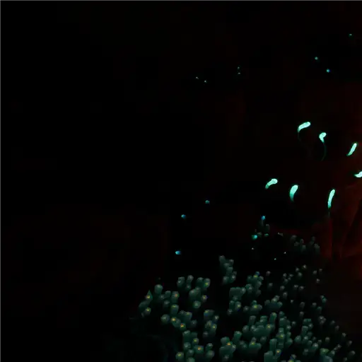 Graveyard Bubble Cave