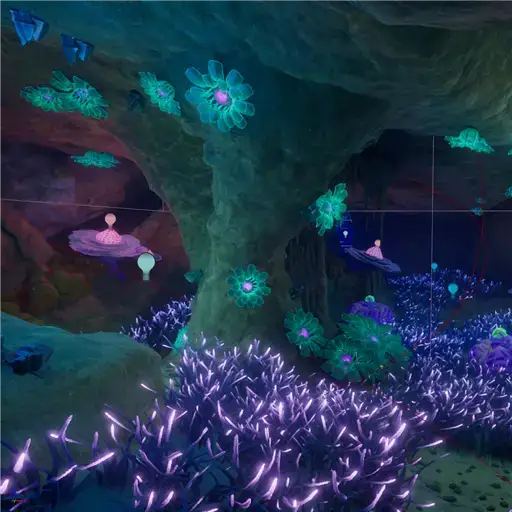 Plateaus Camp One Cave