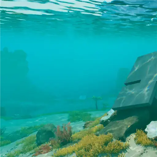 Shallows Cicada Site Supply Lockers