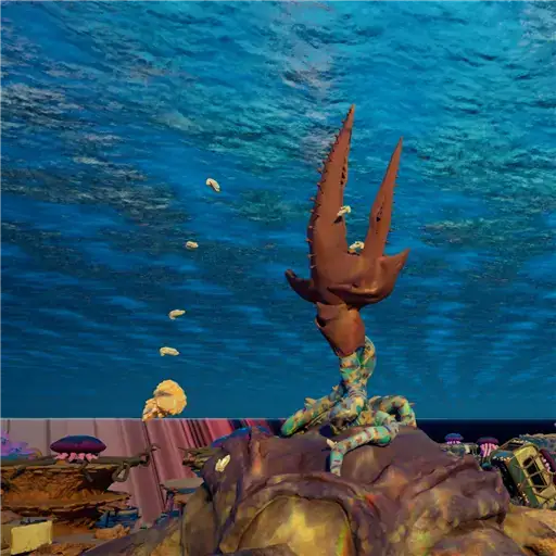 Shallows Juvenile Angel Comb