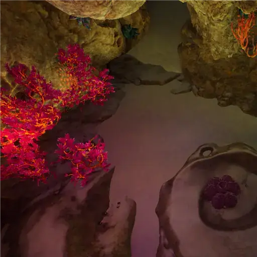 Shallows Spiral Cave