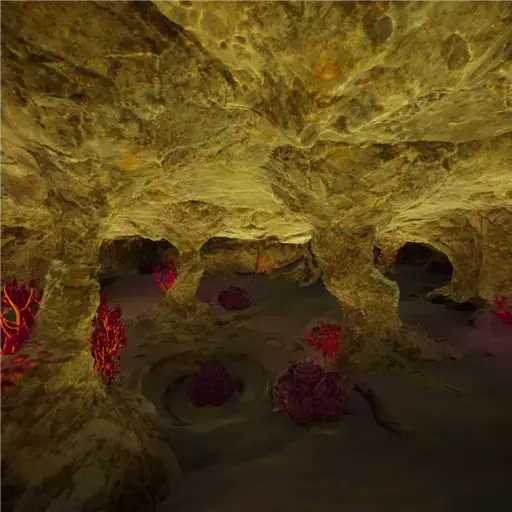 Shallows Trio Cave