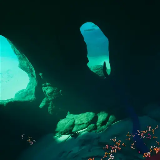 Blighted Coral Blight Core
