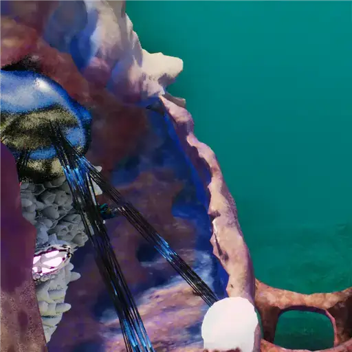 Clamily Teen Clam